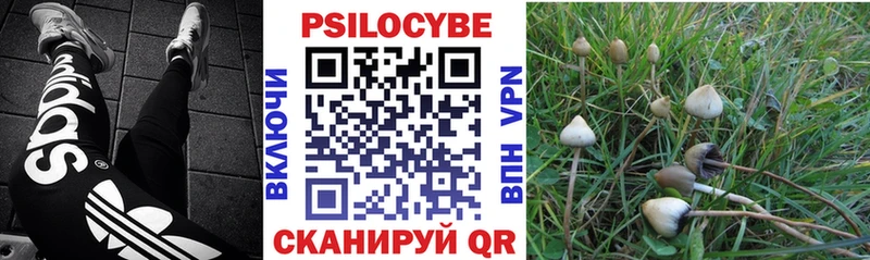 где купить наркоту  Калач  Галлюциногенные грибы Magic Shrooms 